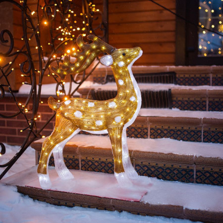 Пятнистый олень